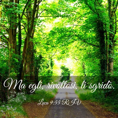 Picture 03 - Luca 9:55 RIV - Ma egli, rivoltosi, li - Bible Verse Picture