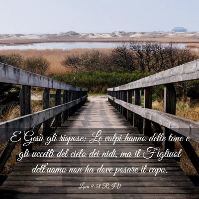 Picture 03 - Luca 9:58 RIV - E Gesù gli rispose: Le volpi hanno delle tane e - Bible Verse Picture