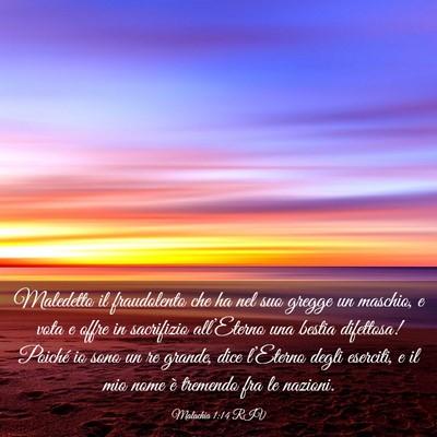 Picture 03 - Malachia 1:14 RIV - Maledetto il fraudolento che ha nel suo gregge un - Bible Verse Picture