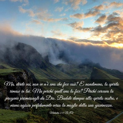 Picture 03 - Malachia 2:15 RIV - Ma, direte voi, non ve n’è uno che fece così? - Bible Verse Picture