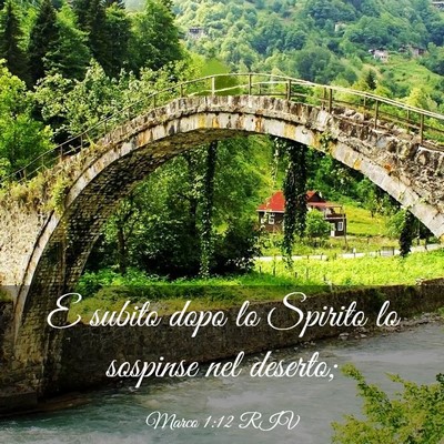 Picture 03 - Marco 1:12 RIV - E subito dopo lo Spirito lo sospinse nel - Bible Verse Picture