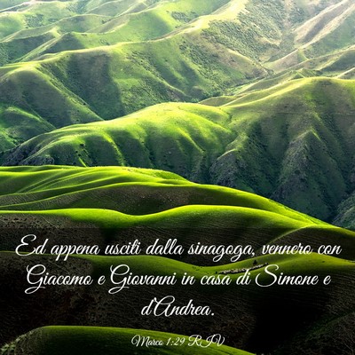 Picture 03 - Marco 1:29 RIV - Ed appena usciti dalla sinagoga, vennero con - Bible Verse Picture