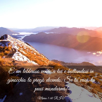 Picture 03 - Marco 1:40 RIV - E un lebbroso venne a lui e buttandosi in - Bible Verse Picture