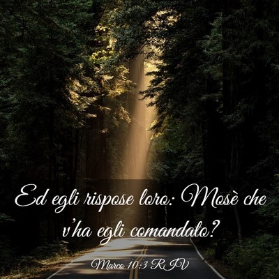 Picture 03 - Marco 10:3 RIV - Ed egli rispose loro: Mosè che v’ha egli - Bible Verse Picture