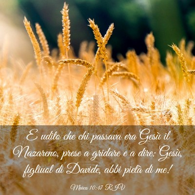 Picture 03 - Marco 10:47 RIV - E udito che chi passava era Gesù il Nazareno, - Bible Verse Picture