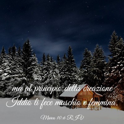 Picture 03 - Marco 10:6 RIV - ma al principio della creazione Iddio li fece - Bible Verse Picture