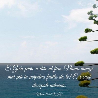 Picture 03 - Marco 11:14 RIV - E Gesù prese a dire al fico: Niuno mangi mai - Bible Verse Picture
