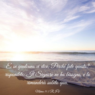 Picture 03 - Marco 11:3 RIV - E se qualcuno vi dice: Perché fate questo? - Bible Verse Picture