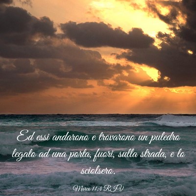 Picture 03 - Marco 11:4 RIV - Ed essi andarono e trovarono un puledro legato ad - Bible Verse Picture