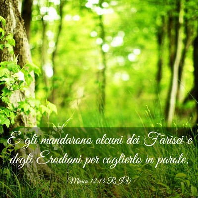 Picture 03 - Marco 12:13 RIV - E gli mandarono alcuni dei Farisei e degli - Bible Verse Picture