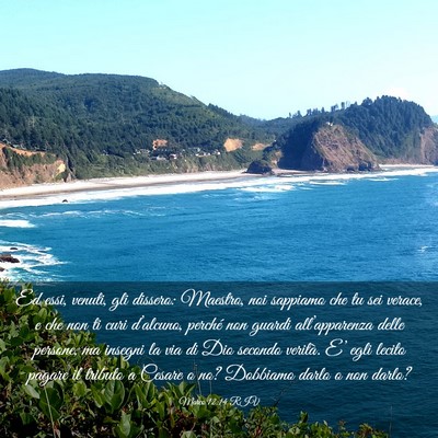 Picture 03 - Marco 12:14 RIV - Ed essi, venuti, gli dissero: Maestro, noi - Bible Verse Picture