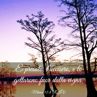 Picture 03 - Marco 12:8 RIV - E presolo, l’uccisero, e lo gettarono fuor - Bible Verse Picture