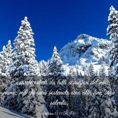 Picture 03 - Marco 13:13 RIV - E sarete odiati da tutti a cagion del mio nome; - Bible Verse Picture
