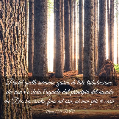 Picture 03 - Marco 13:19 RIV - Poiché quelli saranno giorni di tale - Bible Verse Picture
