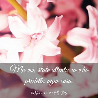 Picture 03 - Marco 13:23 RIV - Ma voi, state attenti; io v’ho predetta ogni - Bible Verse Picture