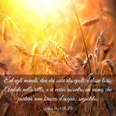 Picture 03 - Marco 14:13 RIV - Ed egli mandò due dei suoi discepoli, e disse - Bible Verse Picture
