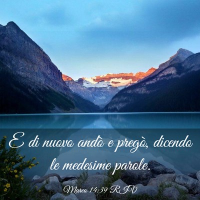 Picture 03 - Marco 14:39 RIV - E di nuovo andò e pregò, dicendo le medesime - Bible Verse Picture