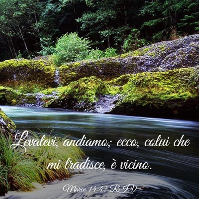 Picture 03 - Marco 14:42 RIV - Levatevi, andiamo; ecco, colui che mi tradisce, - Bible Verse Picture