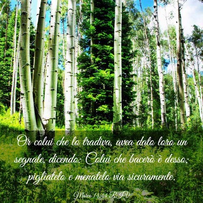 Picture 03 - Marco 14:44 RIV - Or colui che lo tradiva, avea dato loro un - Bible Verse Picture