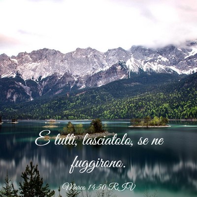 Picture 03 - Marco 14:50 RIV - E tutti, lasciatolo, se ne - Bible Verse Picture