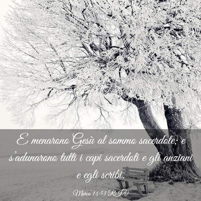 Picture 03 - Marco 14:53 RIV - E menarono Gesù al sommo sacerdote; e - Bible Verse Picture