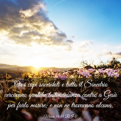 Picture 03 - Marco 14:55 RIV - Or i capi sacerdoti e tutto il Sinedrio cercavano - Bible Verse Picture