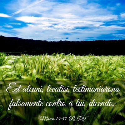 Picture 03 - Marco 14:57 RIV - Ed alcuni, levatisi, testimoniarono falsamente - Bible Verse Picture