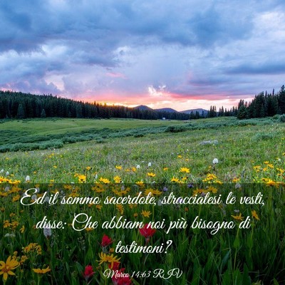 Picture 03 - Marco 14:63 RIV - Ed il sommo sacerdote, stracciatesi le vesti, - Bible Verse Picture
