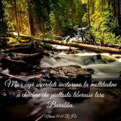 Picture 03 - Marco 15:11 RIV - Ma i capi sacerdoti incitarono la moltitudine a - Bible Verse Picture