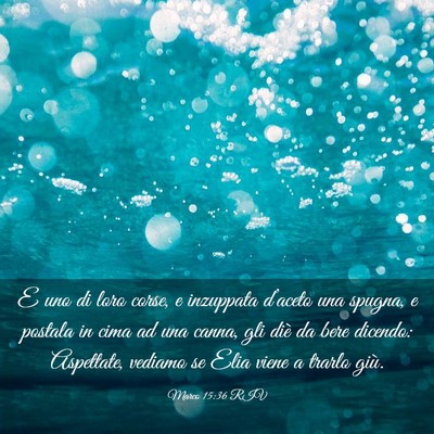 Picture 03 - Marco 15:36 RIV - E uno di loro corse, e inzuppata d’aceto una - Bible Verse Picture