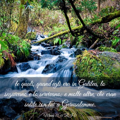 Picture 03 - Marco 15:41 RIV - le quali, quand’egli era in Galilea, lo - Bible Verse Picture
