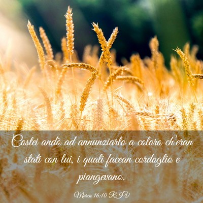 Picture 03 - Marco 16:10 RIV - Costei andò ad annunziarlo a coloro ch’eran - Bible Verse Picture