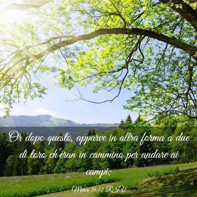 Picture 03 - Marco 16:12 RIV - Or dopo questo, apparve in altra forma a due di - Bible Verse Picture