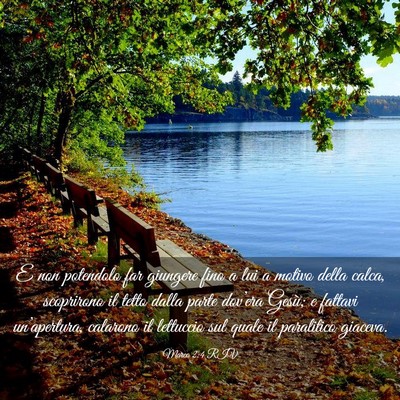 Picture 03 - Marco 2:4 RIV - E non potendolo far giungere fino a lui a motivo - Bible Verse Picture