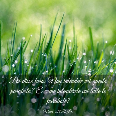 Picture 03 - Marco 4:13 RIV - Poi disse loro: Non intendete voi questa - Bible Verse Picture