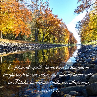 Picture 03 - Marco 4:16 RIV - E parimente quelli che ricevono la semenza in - Bible Verse Picture