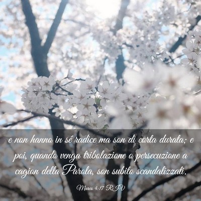 Picture 03 - Marco 4:17 RIV - e non hanno in sé radice ma son di corta durata; - Bible Verse Picture