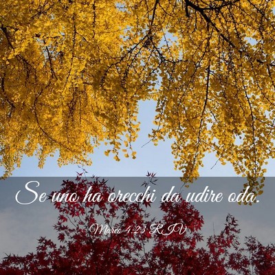 Picture 03 - Marco 4:23 RIV - Se uno ha orecchi da udire - Bible Verse Picture