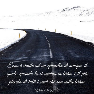 Picture 03 - Marco 4:31 RIV - Esso è simile ad un granello di senapa, il - Bible Verse Picture