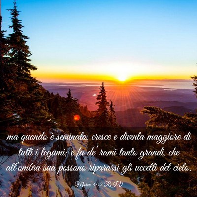 Picture 03 - Marco 4:32 RIV - ma quando è seminato, cresce e diventa maggiore - Bible Verse Picture