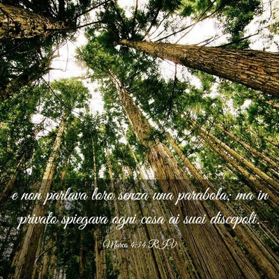Picture 03 - Marco 4:34 RIV - e non parlava loro senza una parabola; ma in - Bible Verse Picture