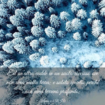 Picture 03 - Marco 4:5 RIV - Ed un’altra cadde in un suolo roccioso ove non - Bible Verse Picture
