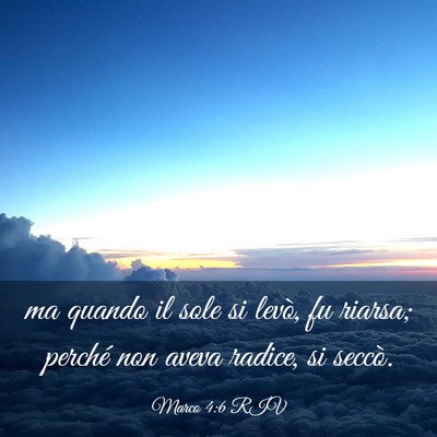 Picture 03 - Marco 4:6 RIV - ma quando il sole si levò, fu riarsa; perché - Bible Verse Picture