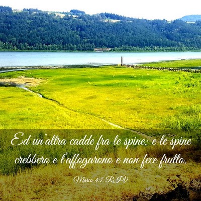 Picture 03 - Marco 4:7 RIV - Ed un’altra cadde fra le spine; e le spine - Bible Verse Picture