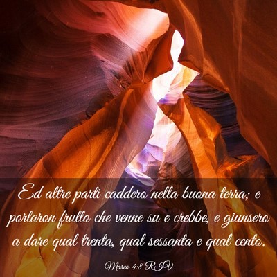 Picture 03 - Marco 4:8 RIV - Ed altre parti caddero nella buona terra; e - Bible Verse Picture