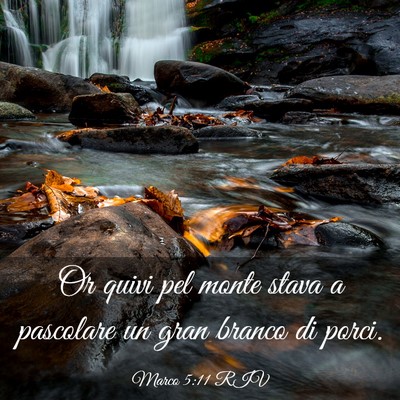 Picture 03 - Marco 5:11 RIV - Or quivi pel monte stava a pascolare un gran - Bible Verse Picture
