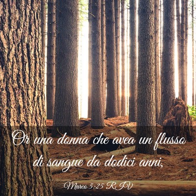 Picture 03 - Marco 5:25 RIV - Or una donna che avea un flusso di sangue da - Bible Verse Picture