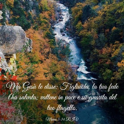 Picture 03 - Marco 5:34 RIV - Ma Gesù le disse: Figliuola, la tua fede t’ha - Bible Verse Picture