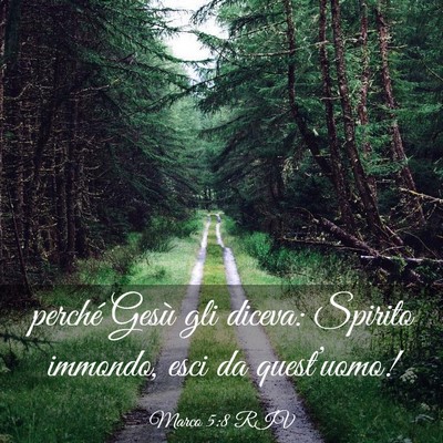 Picture 03 - Marco 5:8 RIV - perché Gesù gli diceva: Spirito immondo, esci - Bible Verse Picture