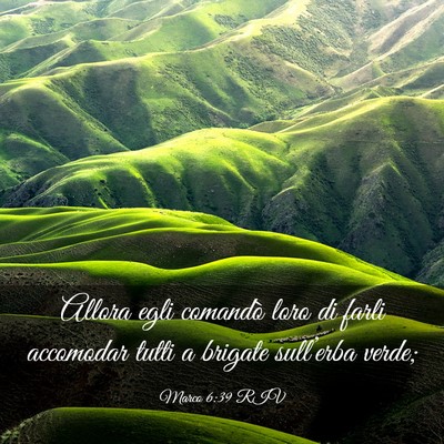 Picture 03 - Marco 6:39 RIV - Allora egli comandò loro di farli accomodar - Bible Verse Picture